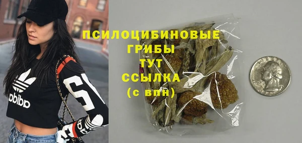 амф Балахна