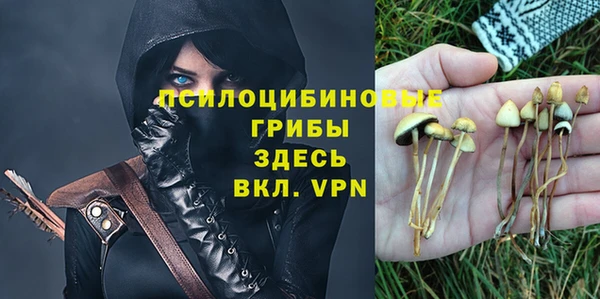 дмт Баксан